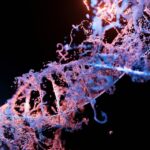 CRISPR’s Legal Tightrope: Gene Editing and the Heritable Trait Dilemma