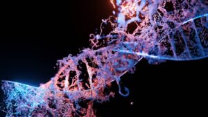 CRISPR’s Legal Tightrope: Gene Editing and the Heritable…
