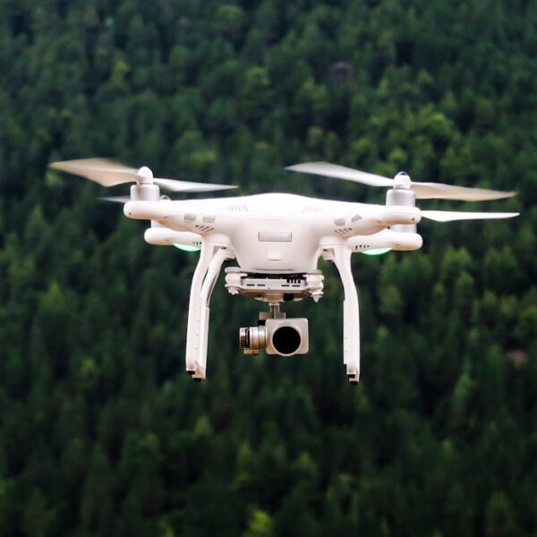 Taking Flight: The Law and the Future of…